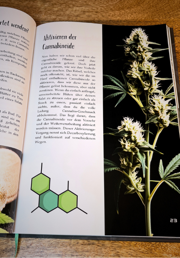 Das vegane Hanf-Kochbuch: Entdecke die Vielfalt der Hanfpflanze in 42 Rezepten